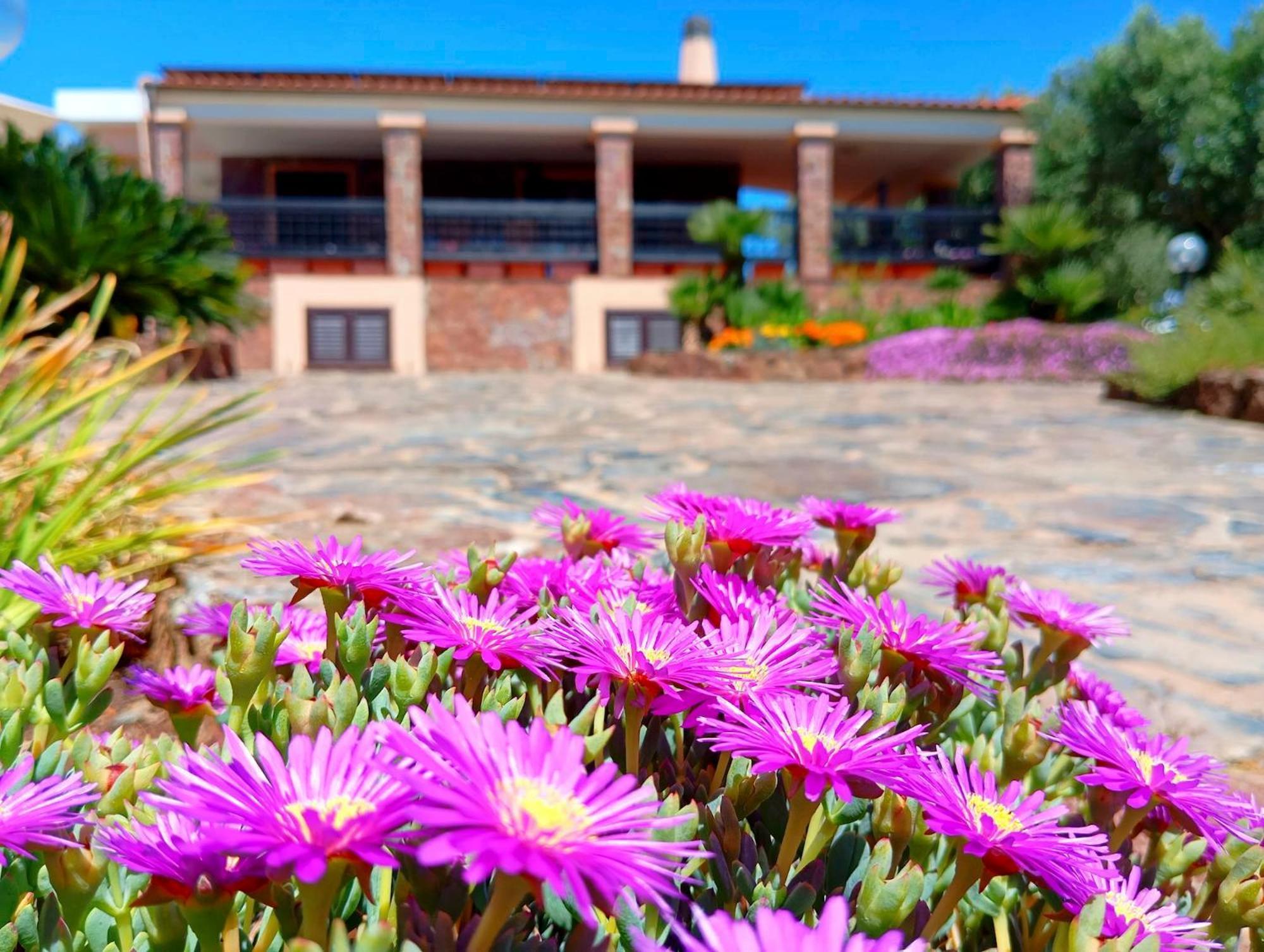 Alghero Villa Barranch With Sea View Swimming Pool For 6 People Экстерьер фото